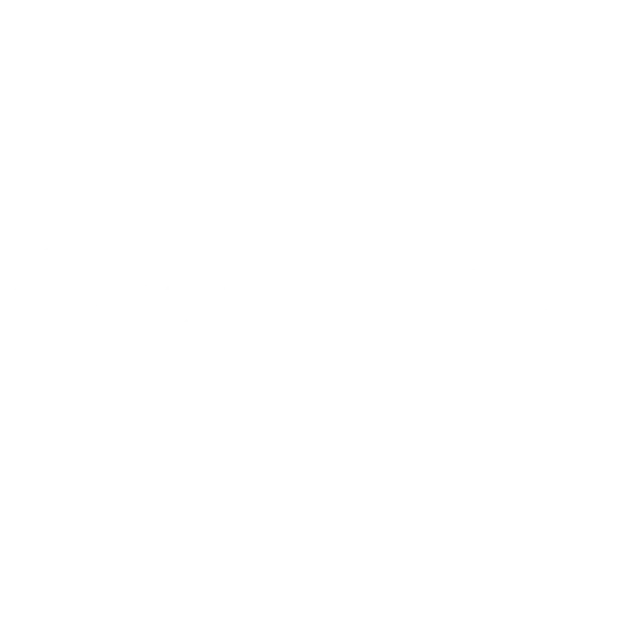 ConnectAmericas Logo