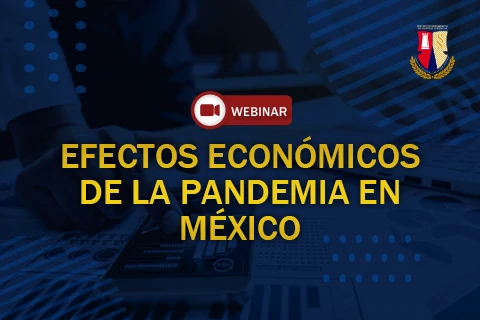 Webinar - Efectos Económicos de la Pandemia en México